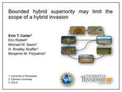 Powerpoint presentation: Bounded hybrid superiority may limit the scope of a hybrid invasion
